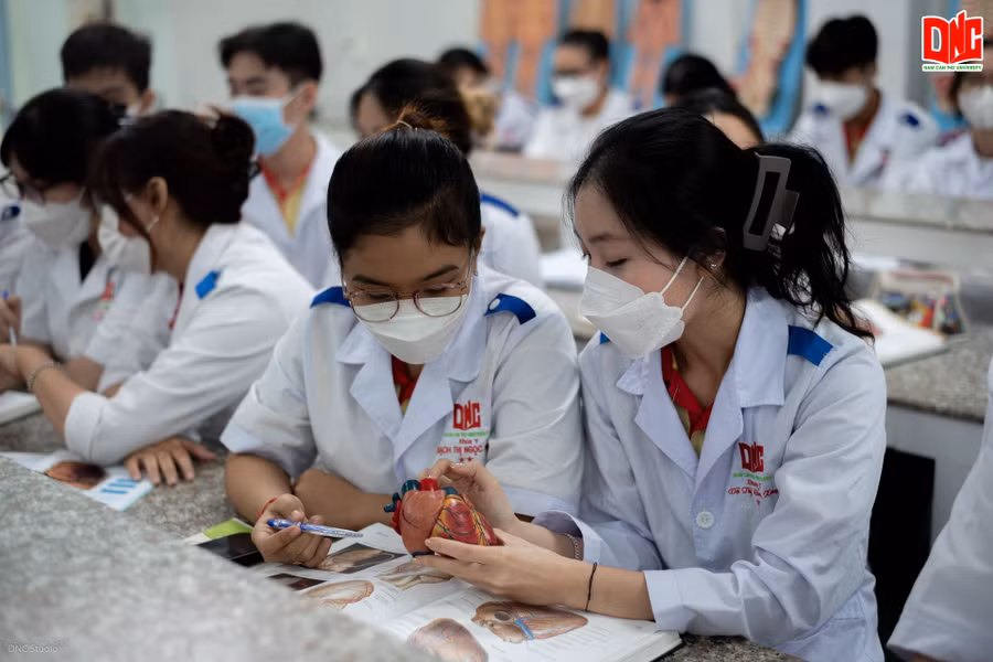 Các chương trình Y khoa của Trường ĐH Nam Cần Thơ đã được ghi danh trong Danh bạ Y khoa Thế giới (World Directory of Medical Schools – WDOMS).