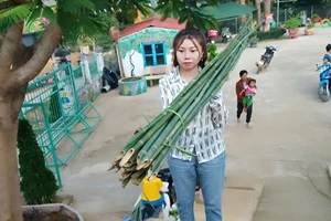 Cô Mào Thị Hải không ngại gian khổ, khó khăn luôn hết lòng vì sự nghiệp giáo dục mầm non vùng cao.