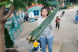 Cô Mào Thị Hải không ngại gian khổ, khó khăn luôn hết lòng vì sự nghiệp giáo dục mầm non vùng cao.