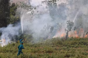 Các lực lượng tham gia thực hành diễn tập tại bản Nậm Pắc, xã Chung Chải, huyện Mường Nhé (Điện Biên).