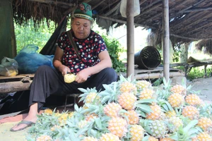 Nhờ Chương trình Mục tiêu quốc gia, nhiều hộ dân tộc thiểu số ở Điện Biên đã từng bước thoát nghèo.