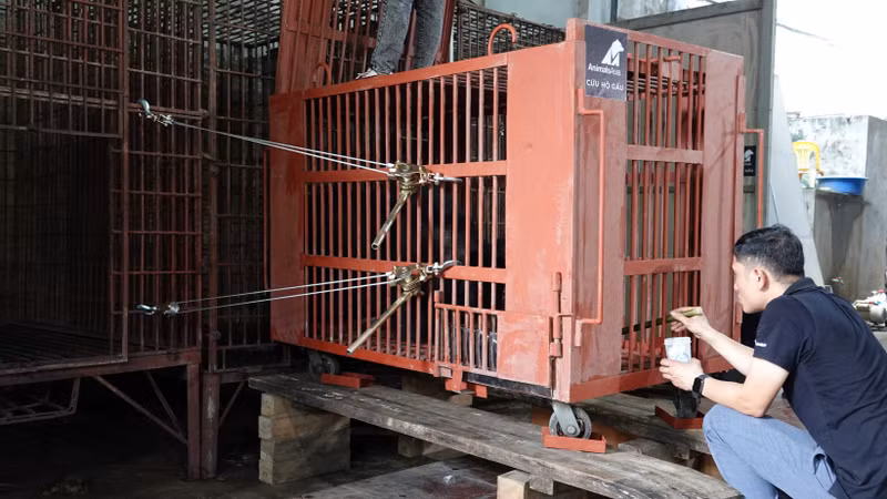 Đưa hai con gấu đầu tiên về Trung tâm Cứu hộ tại Bạch Mã