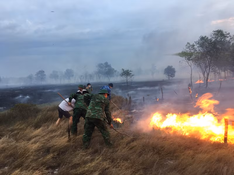 Hàng trăm người nỗ lực dập tắt cháy rừng ở Quảng Trị