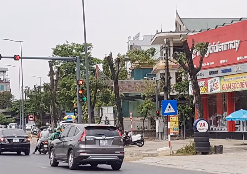 Tại sao hàng loạt cây xanh ở Huế bị cắt trụi cành giữa trời nắng?