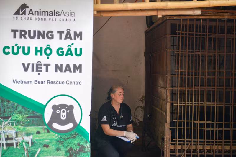 Giải cứu cá thể gấu ngựa bị nuôi nhốt hơn 20 năm tại Hà Nội