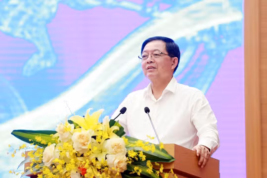 Phó Thủ tướng Chính phủ Hồ Quốc Dũng phát biểu tại hội nghị.