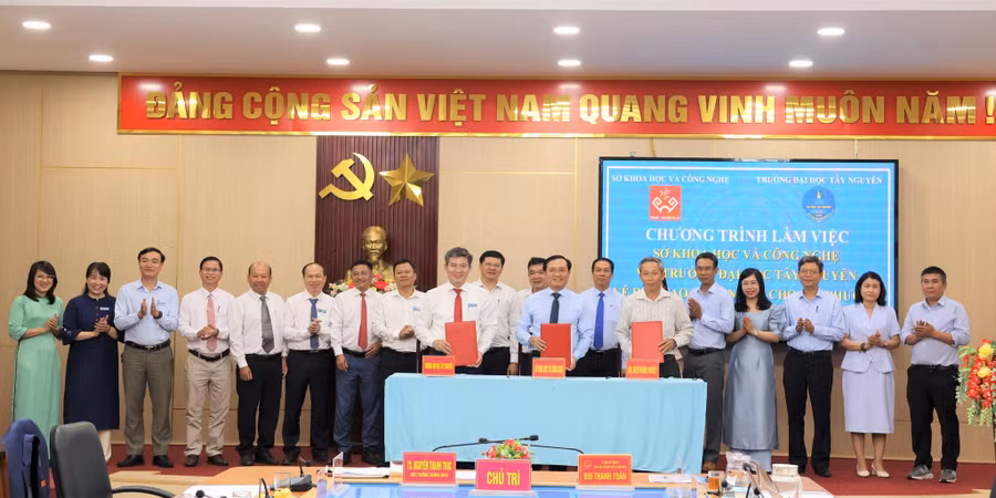 Sinh viên Trường Đại học Tây Nguyên có cơ hội thực tập, trải nghiệm ở các Trung tâm công nghệ hàng đầu khu vực. (Ảnh: NT)