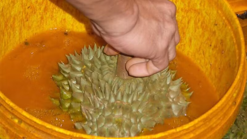 Ảnh minh họa ITN.