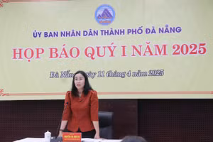 Bà Nguyễn Thị Anh Thi, Phó Chủ tịch UBND TP Đà Nẵng phát biểu.