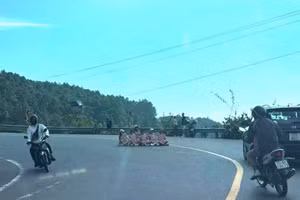 Nhóm phụ nữ bất chấp nguy hiểm ngồi giữa đường trên đèo Hải Vân chụp ảnh.