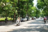 Ảnh minh hoạ.