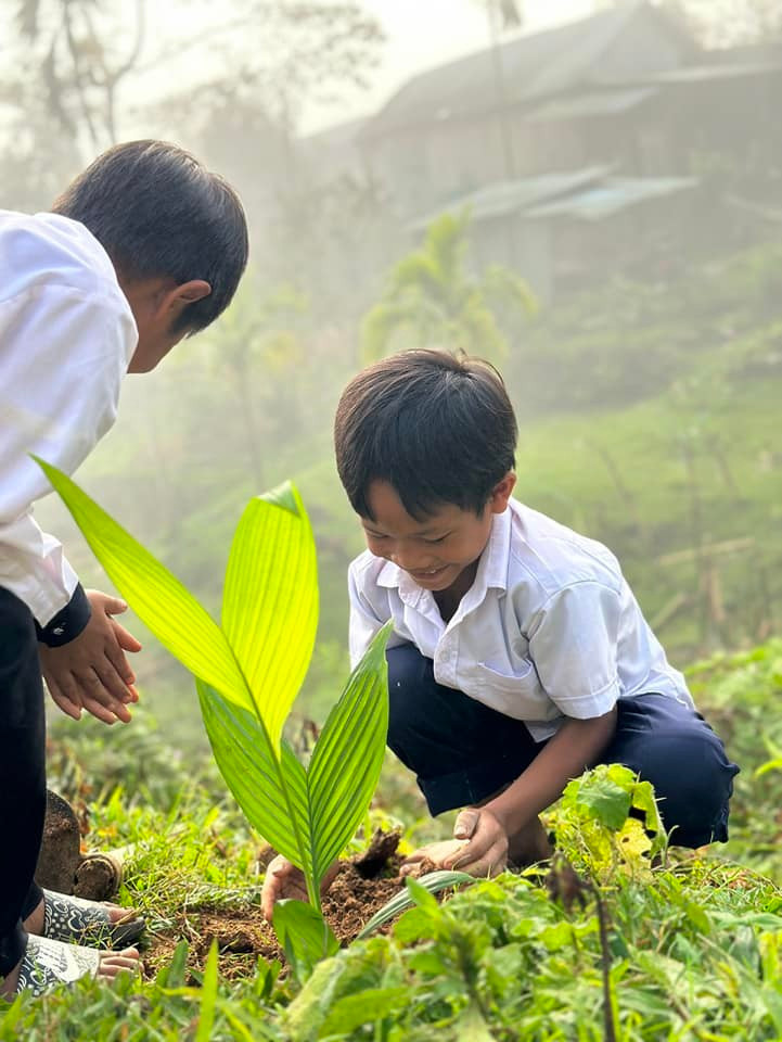Việc tự trải nghiệm trồng và chăm sóc cây sẽ giúp học sinh hiểu thêm ý nghĩa của việc trồng, bảo vệ rừng. (Ảnh: Trà Thu). Giáo dục học sinh miền núi ở Quảng Nam bảo vệ môi trường rừng ảnh 4