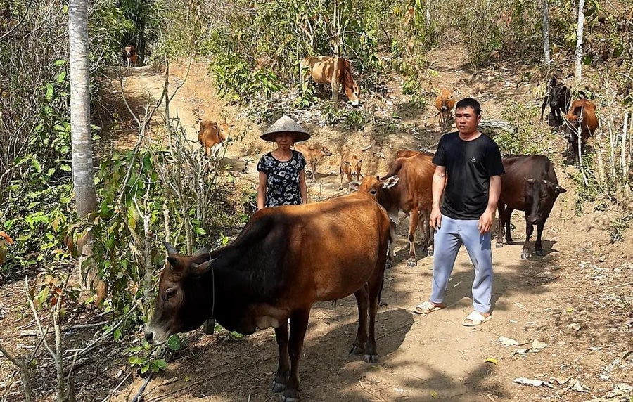 'Điểm tựa' cho bà con vùng biên vươn lên thoát nghèo