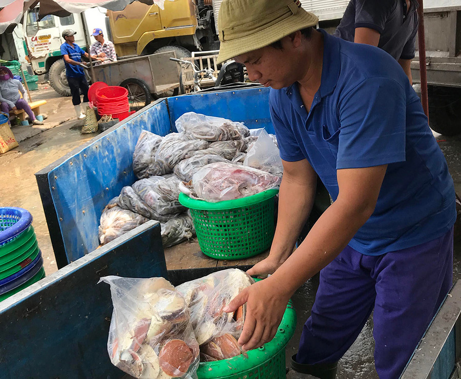 Sò điệp, đặc sản vùng biển miền Tây