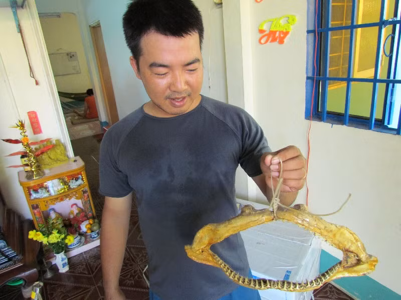 Một chiếc hàm cá mập