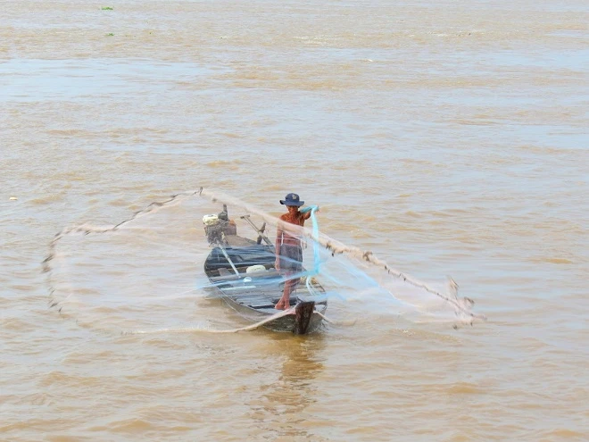 Lão ngư trên sông Vàm Cỏ Tây