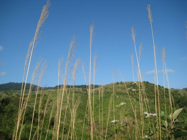 Đồi A Bia, di tích lịch sử ở A Lưới mùa xuân hòa bình