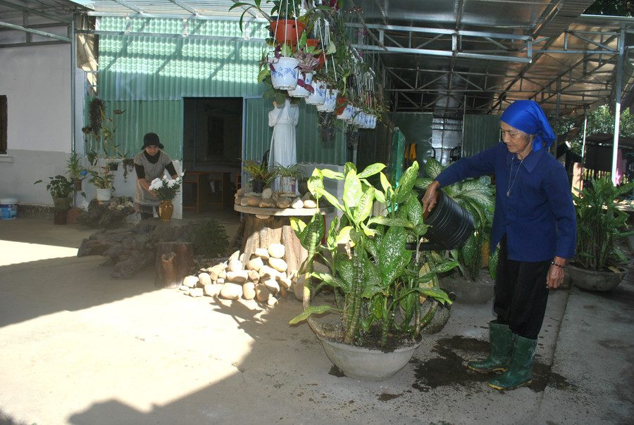 Bà Y Phương chăm sóc cây cảnh tạo môi trường xanh đẹp cho làng phong