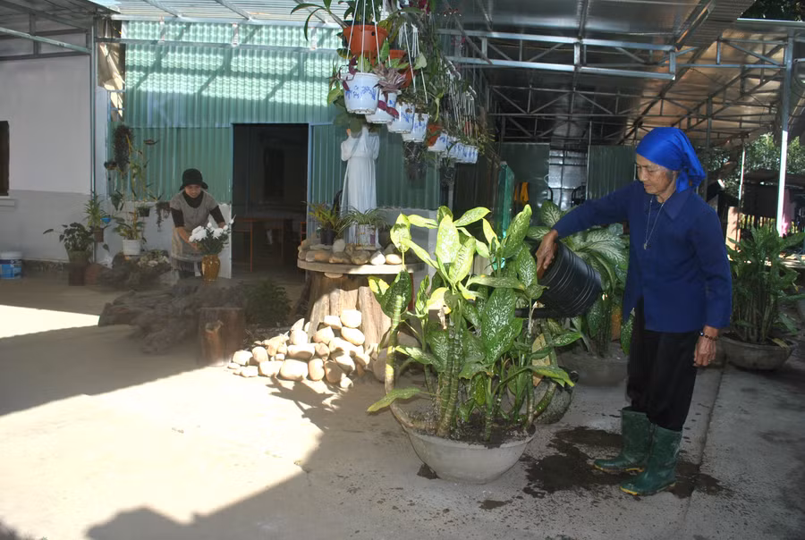 Bà Y Phương chăm sóc cây cảnh tạo môi trường xanh đẹp cho làng phong Bà Y Phương chăm sóc cây cảnh tạo môi trường xanh đẹp cho làng phong