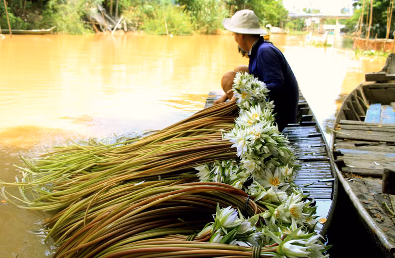 Hái súng ma trên đồng hoang