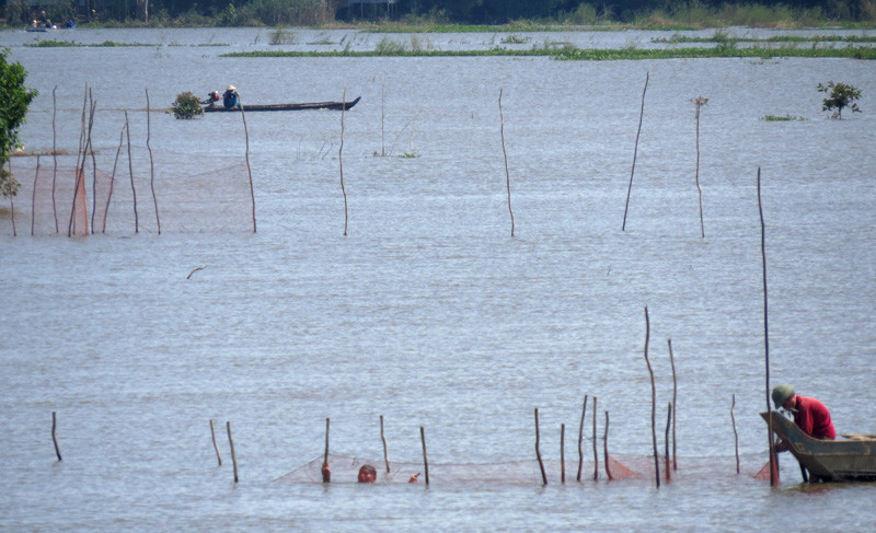 Đóng dớn trên đồng nước