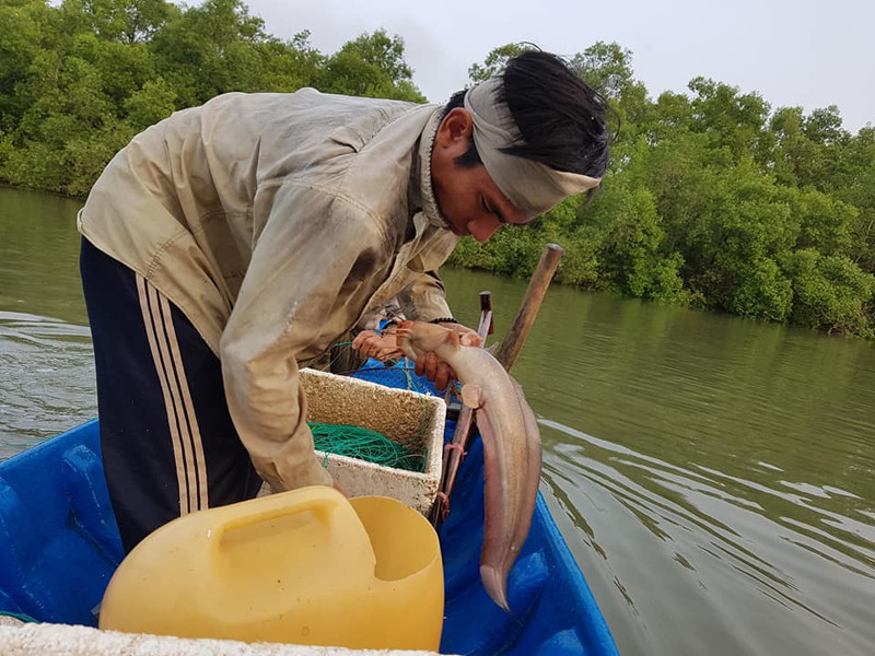 Thành quả một buổi giăng câu