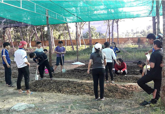 Tham gia lao động sản xuất tại trường Tham gia lao động sản xuất tại trường