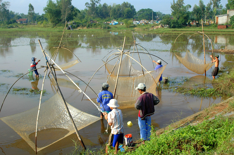 "Kéo tủ" mùa lũ