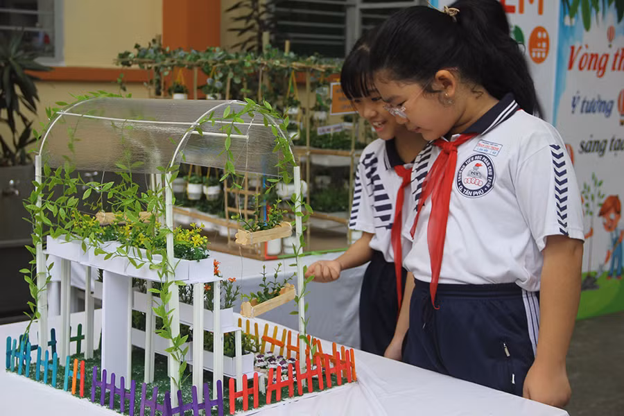Mô hình vườn rau do HS thiết kế