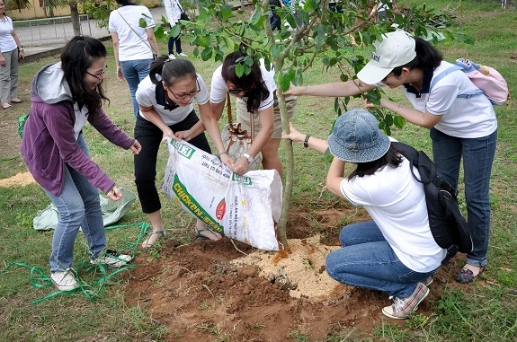 HS Trường TH Tam Phước, huyện Châu Thành, Bến Tre tham gia trồng cây trong sân trường