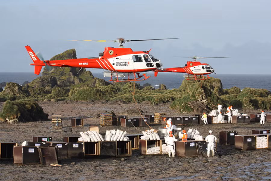 Các nhân viên đang chuyển mồi nhử chuột lên máy bay trực thăng ở đảo Macquarie (nằm giữa New Zealand và Nam Cực)