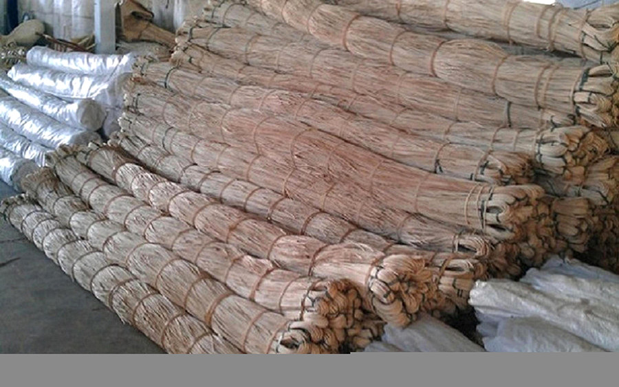 Mây rừng, nguyên liệu cần thiết để làm nôi, phải dự trữ từ mùa khô (xuân-hè)