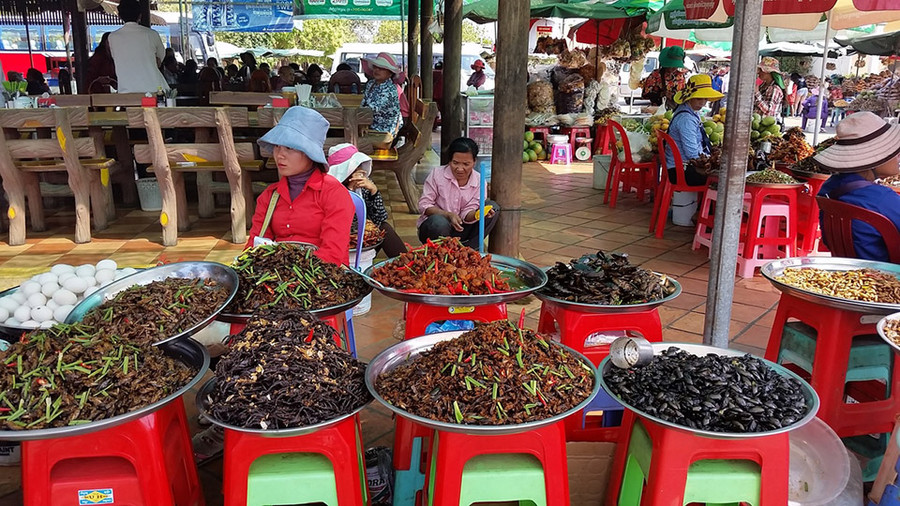 Gian hàng côn trùng rán trong chợ