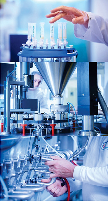 Sữa tươi Cô Gái Hà Lan tuân thủ tiêu chuẩn Foqus từ đồng cỏ đến ly sữa Sữa tươi Cô Gái Hà Lan tuân thủ tiêu chuẩn Foqus từ đồng cỏ đến ly sữa