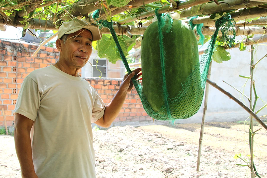 Ông Ngôn bên trái bí đao khổng lồ