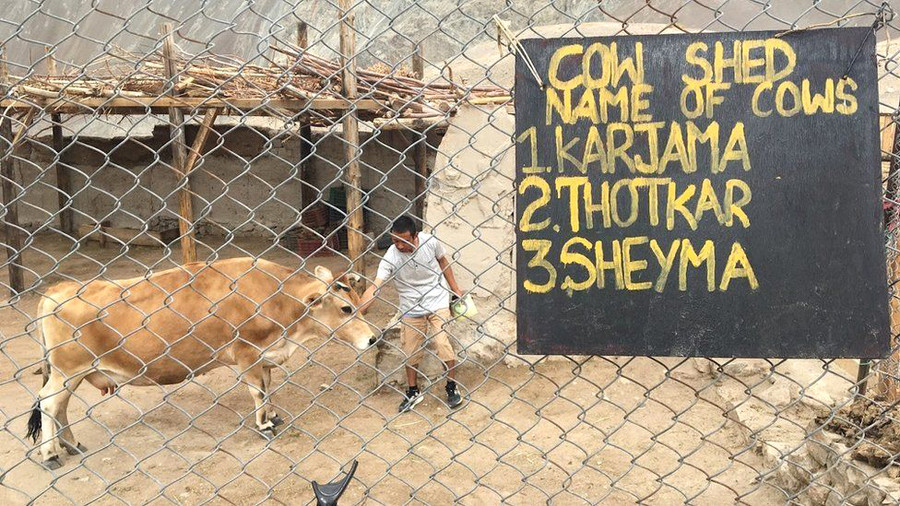 Buổi làm việc sáng của học sinh Buổi làm việc sáng của học sinh