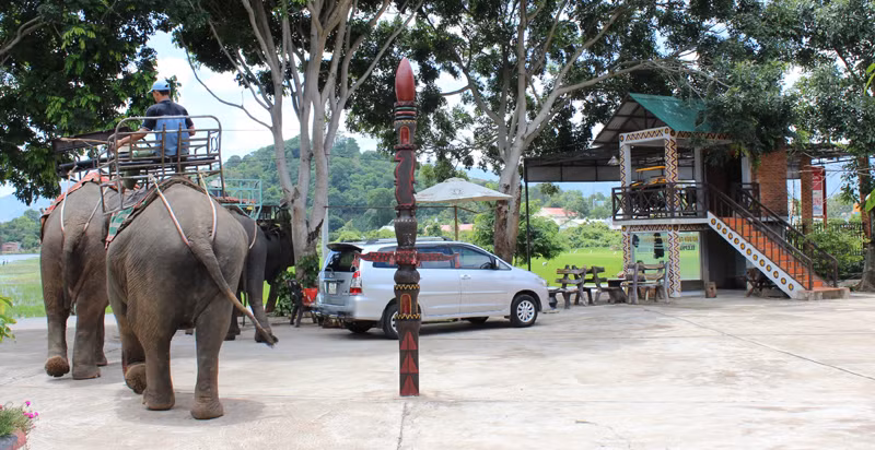 Rảnh rỗi voi lại được nài voi đưa đi dạo chơi