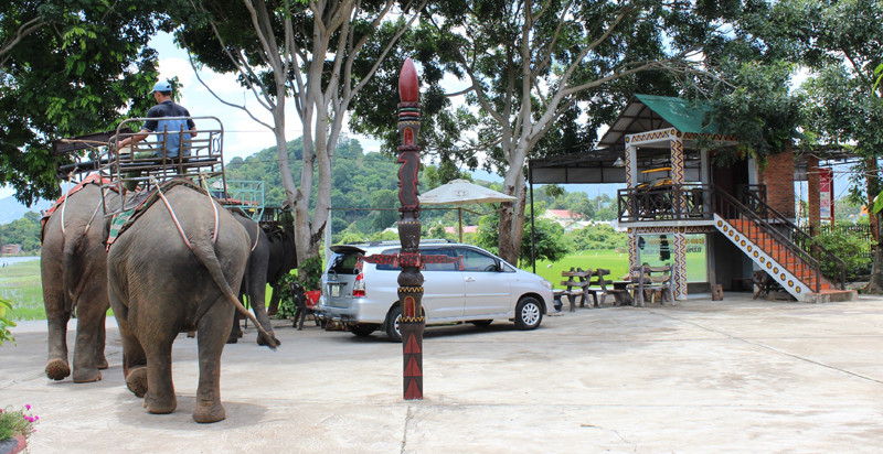 Rảnh rỗi voi lại được nài voi đưa đi dạo chơi