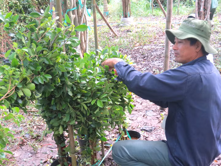 Làm nghề tạc tượng trên lá cây