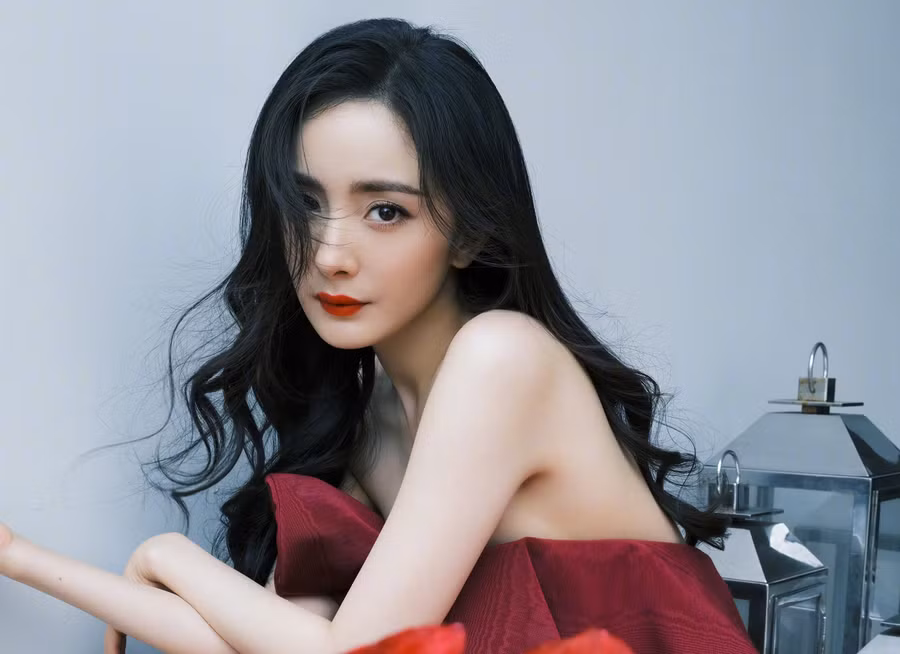 Trong đơn kiện, phía Dương Mịch tố cáo hai cá nhân trên loan tin đồn không đúng sự thật, bôi nhọ danh dự nữ diễn viên trên mạng xã hội.