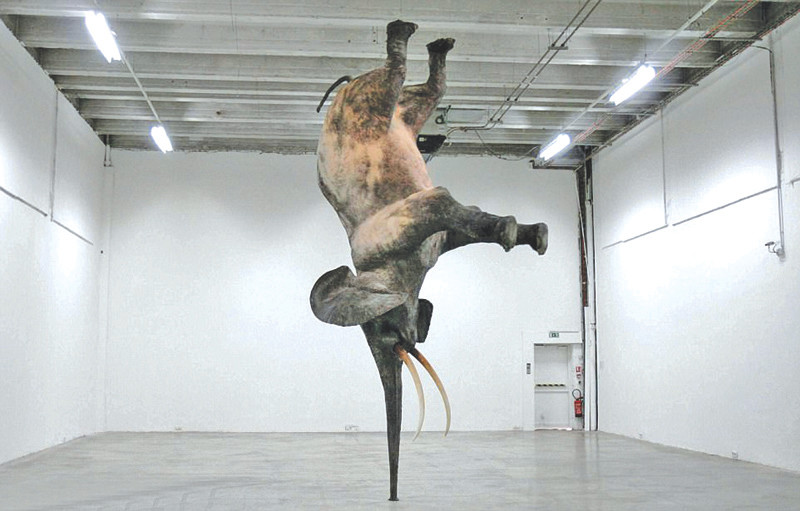 Một con voi được tạo bởi điêu khắc gia Daniel Firman trưng bày tại cuộc triển lãm “Superdome” ở lâu đài De Tokyo, Paris (Pháp) vào năm 2008 Một con voi được tạo bởi điêu khắc gia Daniel Firman trưng bày tại cuộc triển lãm “Superdome” ở lâu đài De Tokyo, Paris (Pháp) vào năm 2008