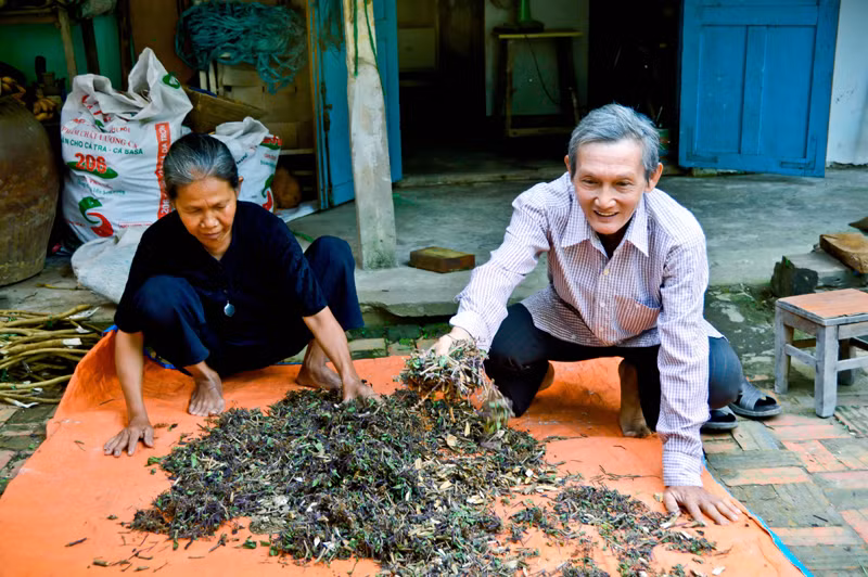 Vợ chồng ông Hạnh đang sơ chế thuốc nam để chuẩn bị đem cung cấp miễn phí cho phòng khám