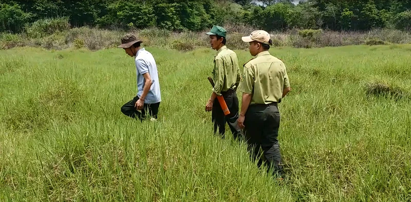 Bãi cỏ (hay bãi thú) còn sót lại trong thung lũng Ya Book