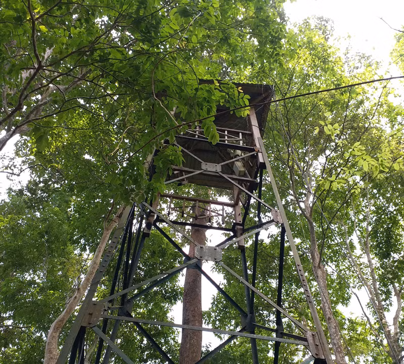 Trạm quan sát thú