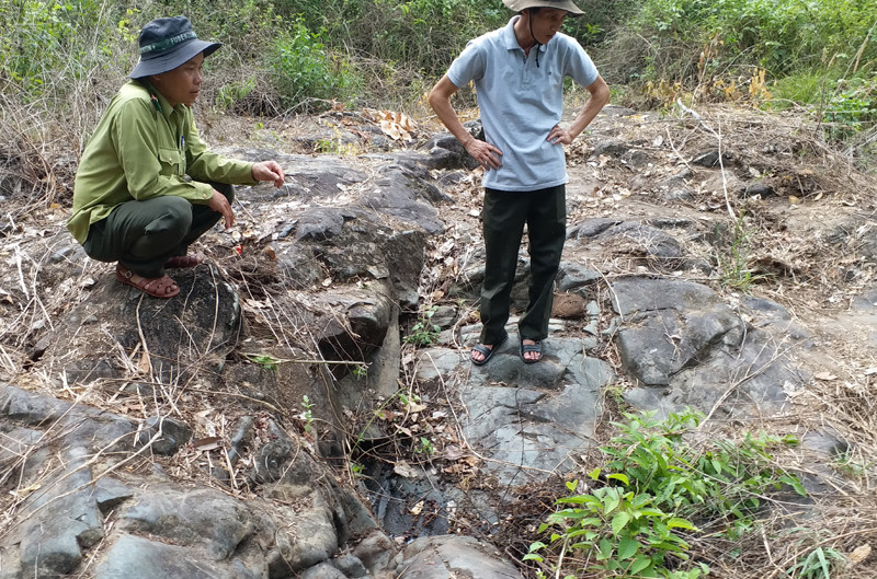 Bãi đá giữa rừng có in dấu chân nai Bãi đá giữa rừng có in dấu chân nai