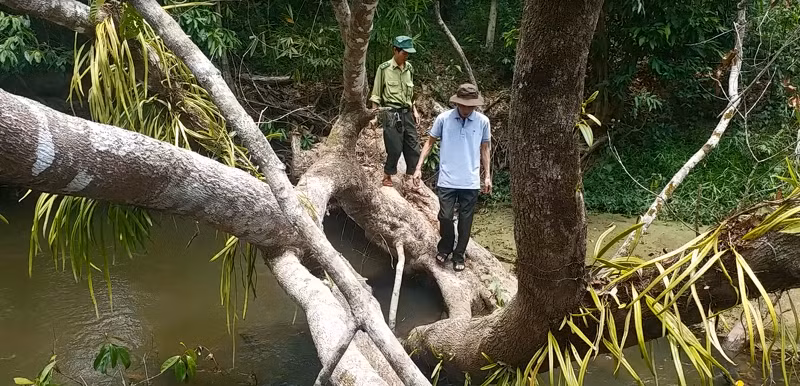 Băng rừng, lội suối vào bãi thú