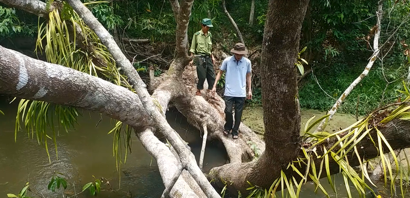Băng rừng, lội suối vào bãi thú Băng rừng, lội suối vào bãi thú