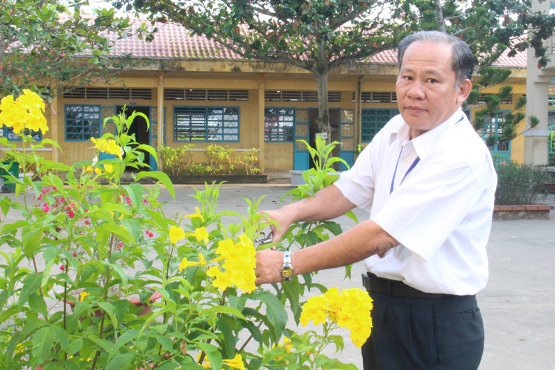 Thầy Lâm Kim Mến quan tâm chăm sóc hoa kiểng trong nhà trường