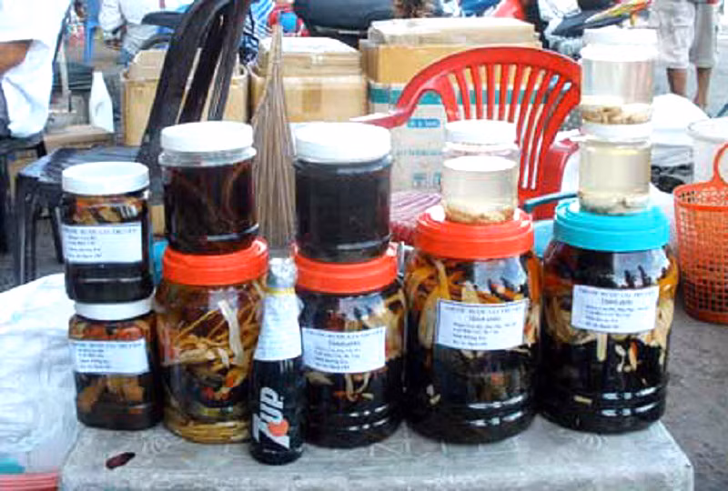 Các loại rượu ngâm côn trùng