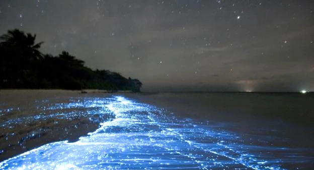 Vịnh Vaadhoo Island, Maldives